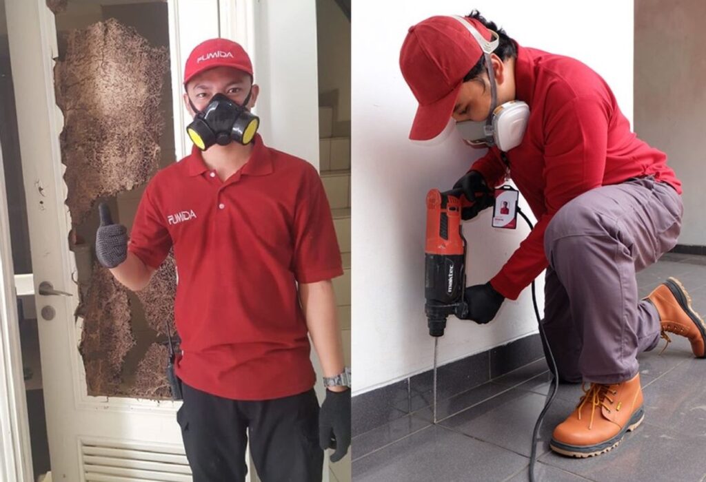Penyebab Munculnya Rayap di Dalam Rumah